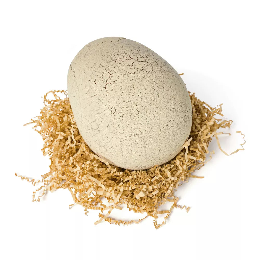 Dino Mágico Bumbaloo